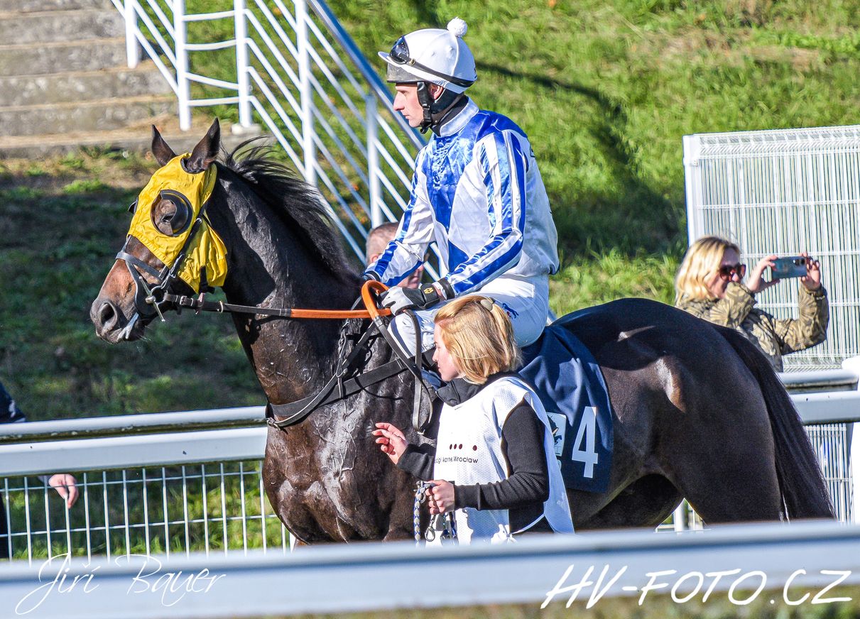 DSC_4792 kopie.jpg